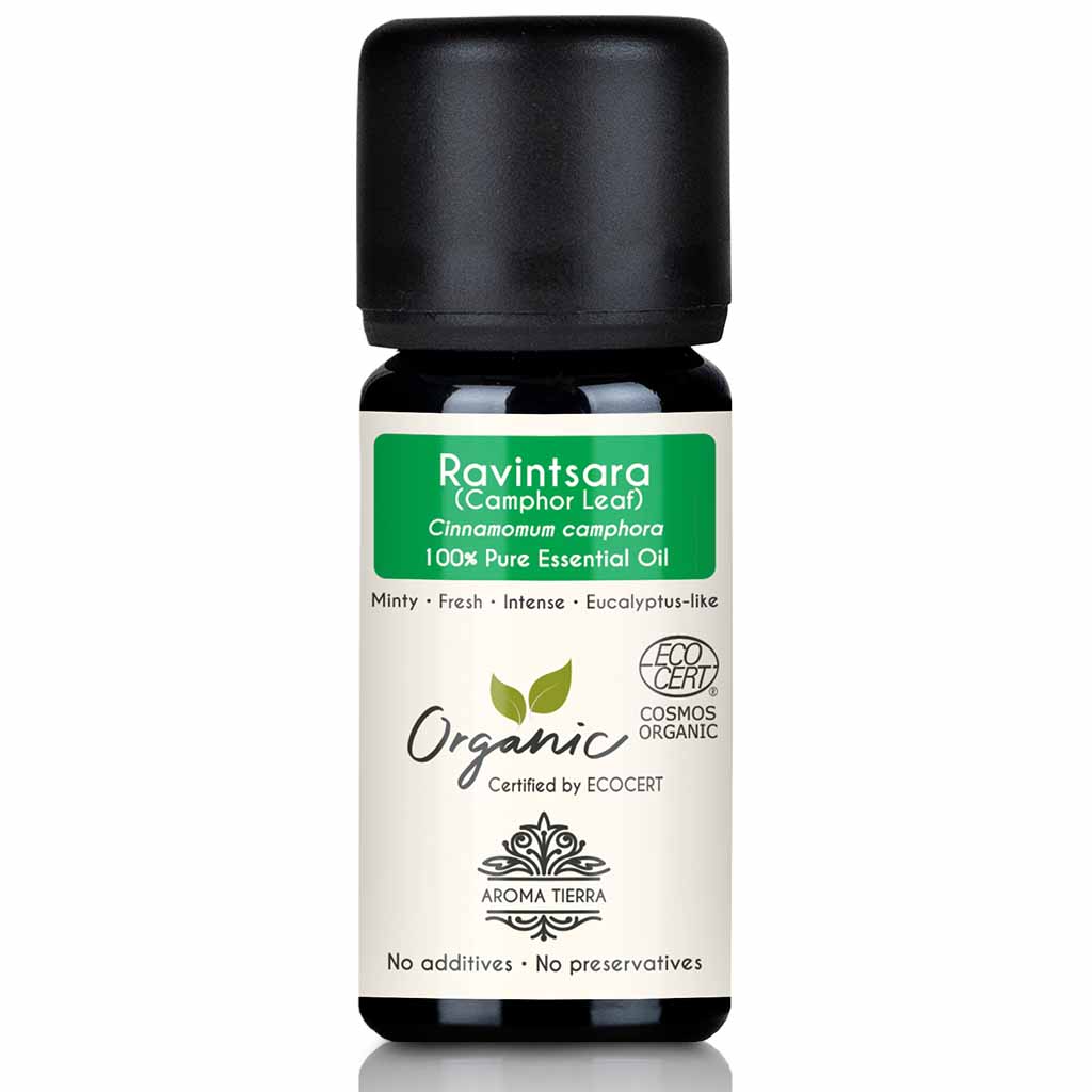 organic ravintsara essential oil camphor leaf oil