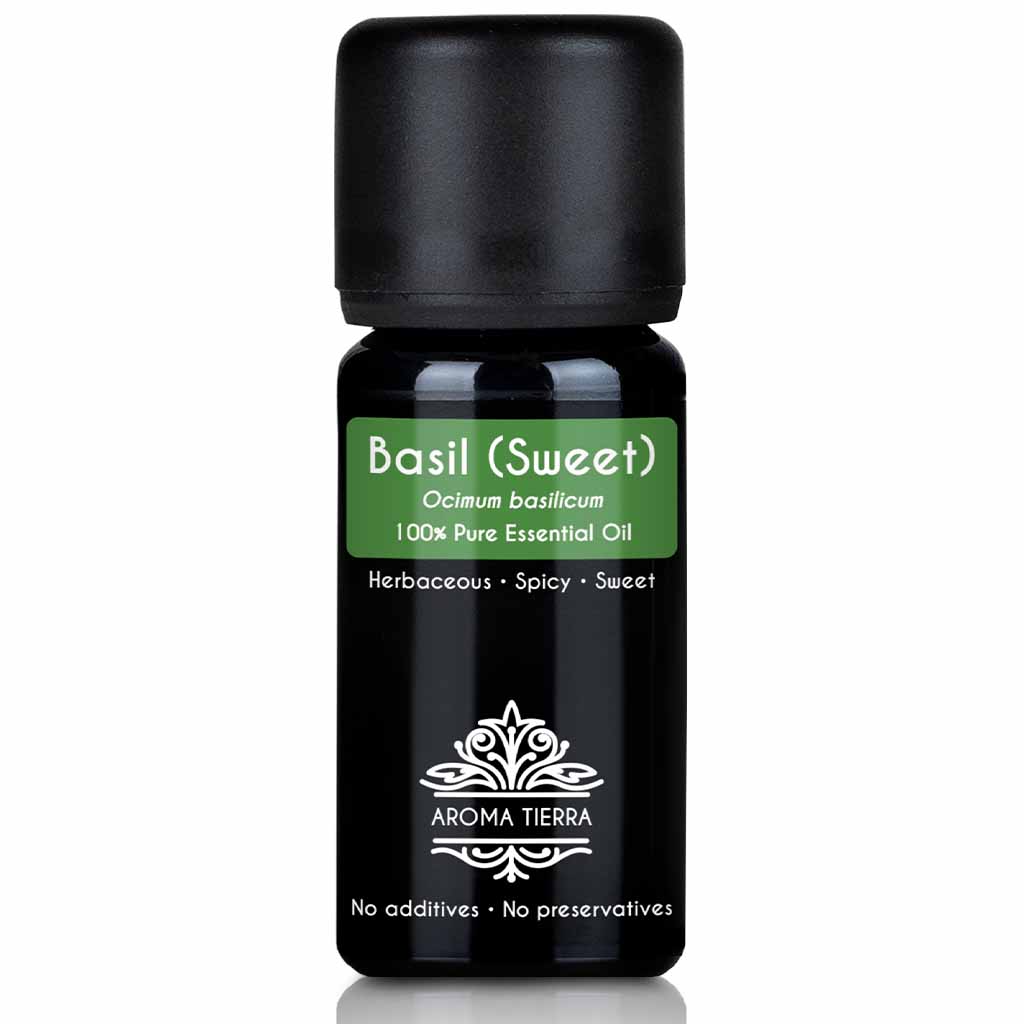 Basil Essential Oil Sweet Basil 100 Pure Natural