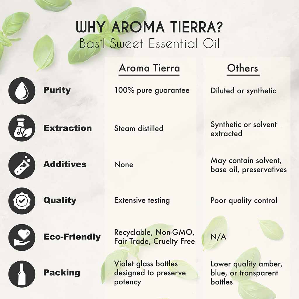 Aroma Tierra Basil Essential Oil 100 Pure Organic