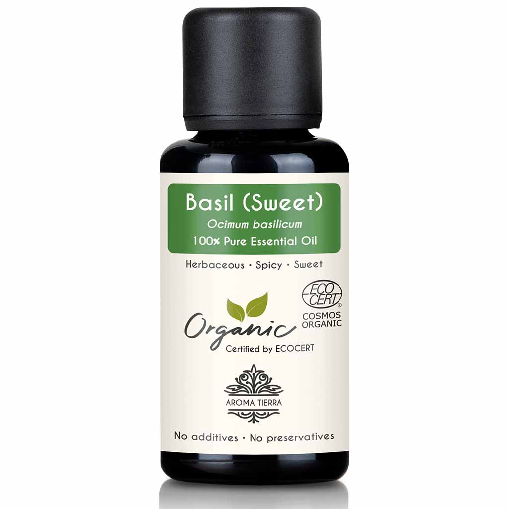 Organic Basil Essential Oil Sweet 100 Pure Natural