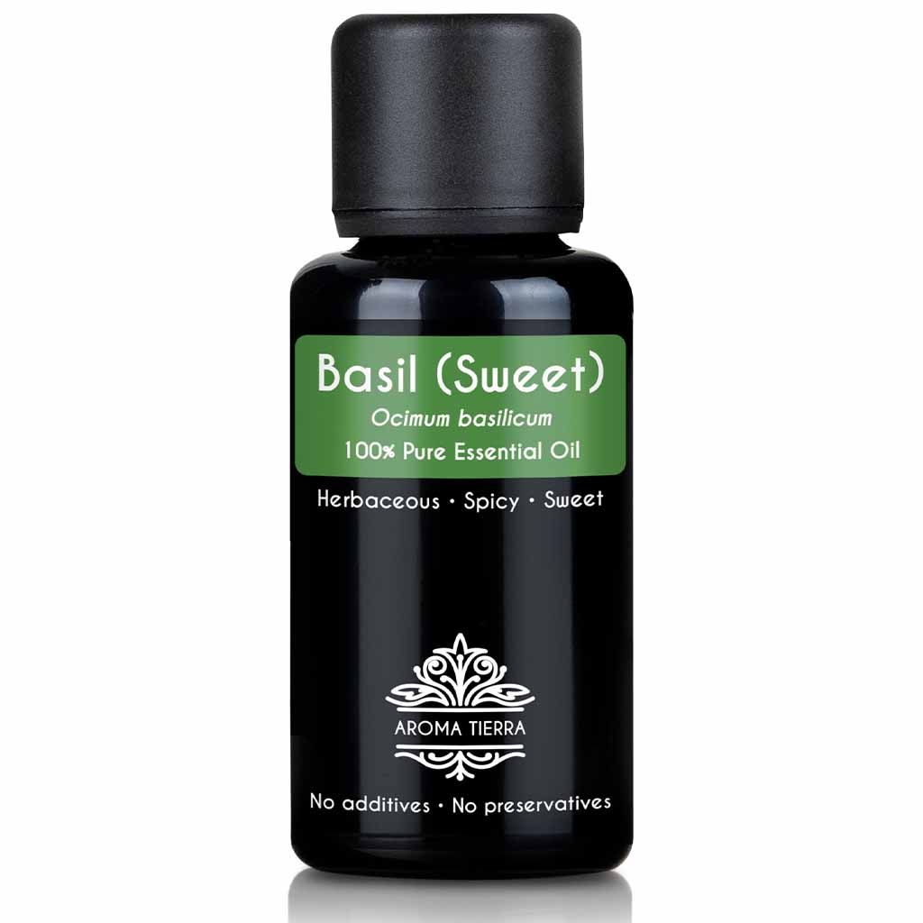 Basil Essential Oil Sweet Basil 100 Pure Natural Aroma Tierra